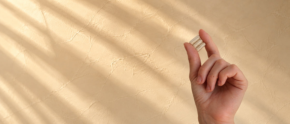 ROUTINE8 Essentials Komplex Multivitamin-Nahrungsergänzungsmittel, drei helle Kapseln auf einer Hand vor einer Wand.