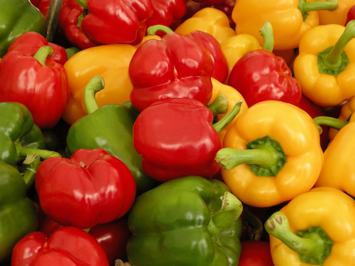 mais-zeaxanthin-longevity-routin8