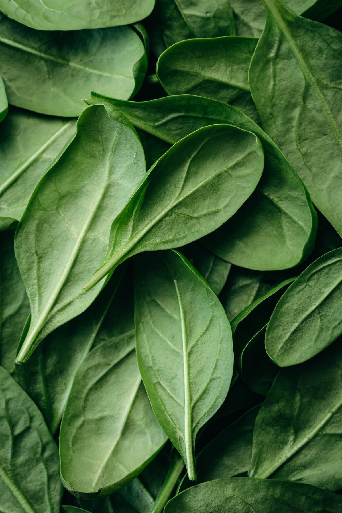 gruenes-blattgemuese-lutein-longevity-routine8